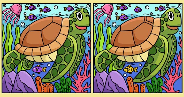 Encuentra todas las diferencias entre las imágenes Encuentra todas las diferencias entre las imágenes