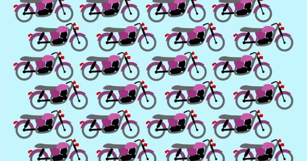 Un puzzle para los amantes de la conducción rápida