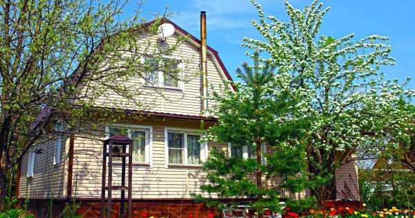 ¿Qué árboles no necesitan plantarse cerca de la casa, y por qué?