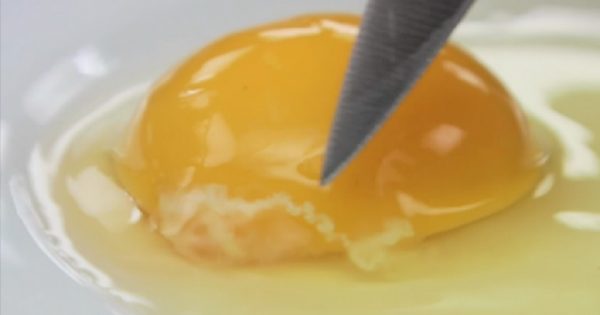 ¡Este hilo blanco cerca de la yema de huevo es muy importante! Ni siquiera lo sospechaba yo…
