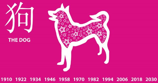 ¡El año del perro, color amarillo y el elemento tierra!