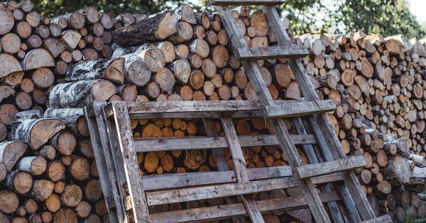 Piso de madera hecho de cortes de madera, la envidia de todos en el pueblo.