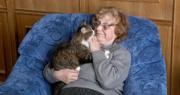 ¿Qué razas de gatos no deben convivir con las personas mayores?