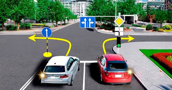 Un auténtico reto para los conductores en la vía