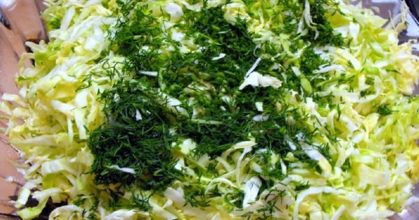 Col, 3 huevos y un manojo de verduras… ¡En menos de 30 minutos, el plato veraniego está listo!