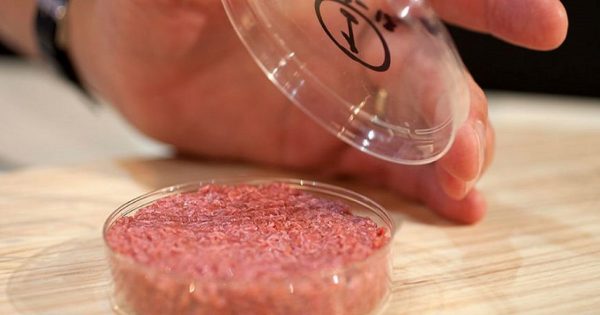 Un experimentado nutricionista me dijo que este producto puede causar cáncer. ¡Boté hasta el último pedazo!