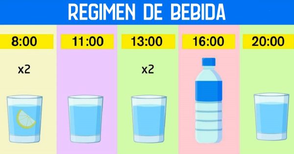 Régimen de bebida Régimen de bebida