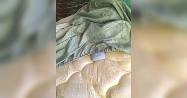 ¡Coloca una pastilla de jabón en tu cama, y disfrutarás de una tranquila noche de sueño!