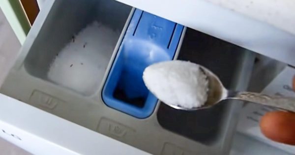 La ropa «salada» no se vuelve gris y amarilla cuando se lava, queda limpia hasta crujir, comparto mis secretos La ropa «salada» no se vuelve gris y amarilla cuando se lava, queda limpia hasta crujir, comparto mis secretos