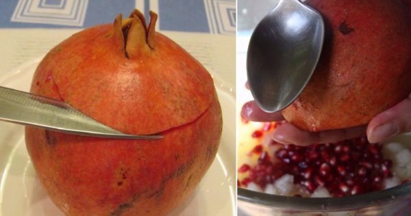 ¿Vale la pena comer granada con semillas? ¿Vale la pena comer granada con semillas?