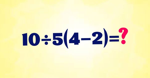 Pasé la mitad de la noche discutiendo con mi esposo sobre cómo se resuelven los ejemplos con corchetes; logré arrojar luz sobre una cuestión matemática importante Pasé la mitad de la noche discutiendo con mi esposo sobre cómo se resuelven los ejemplos con corchetes; logré arrojar luz sobre una cuestión matemática importante