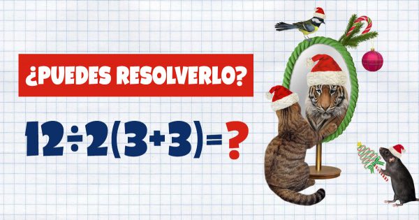 Si antes, en la escuela resolvían un ejemplo matemático trucado en un minuto, los alumnos de hoy no pueden hacer eso.