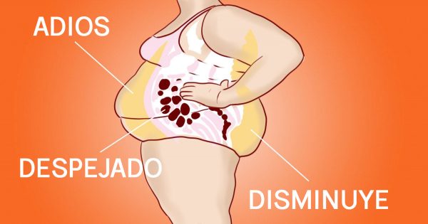 Sopa dietética de Bonn.