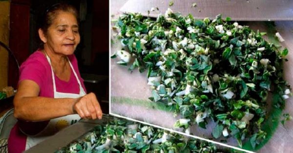 ¿Deseas proteger tu salud? Pues bebe una tasa de este té, una vez al día… ¡No tendrás que ir más al hospital!