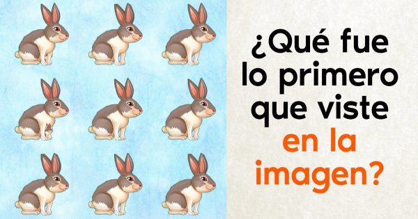 Un test para los que quieran poner a prueba su capacidad de atención, sólo hay que contar conejitos