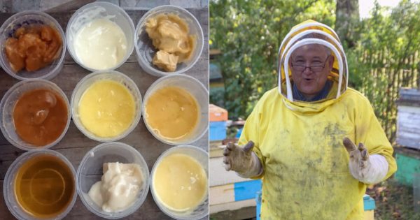 Desde la antigüedad hasta nuestros días… ¡Los secretos del «manjar de dioses»!