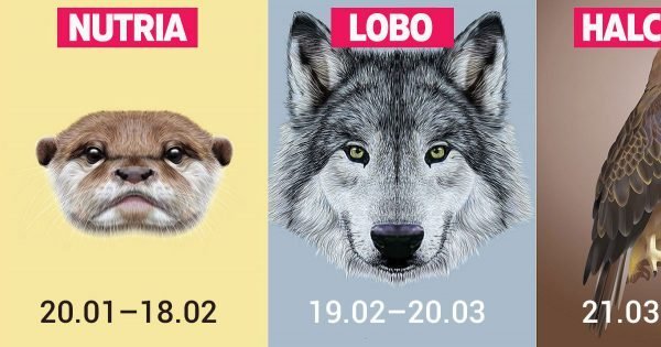Qué animales fueron especialmente venerados en la antigüedad
