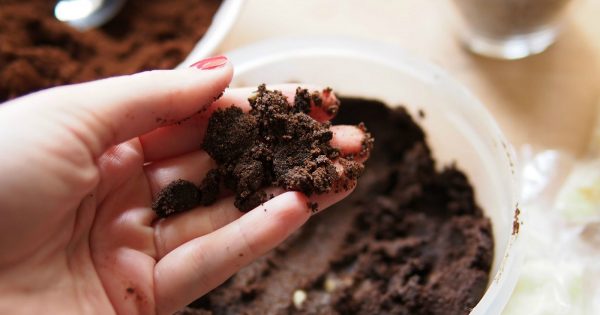 Si sueles deshacerte de los posos de café, no lo hagas más… ¡Aprovecha sus bondades!