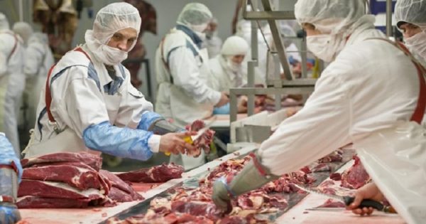 Ser vegetariano: ¿Opción o elección?